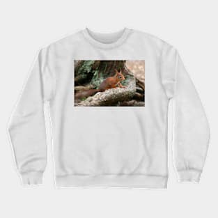 Red Squirrel, May 2019 Crewneck Sweatshirt